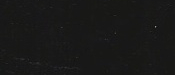 Regal Black